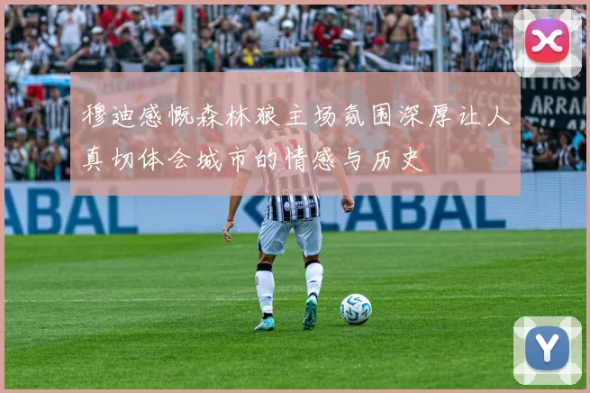 穆迪感慨森林狼主场氛围深厚让人真切体会城市的情感与历史